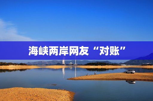 海峡两岸网友“对账”