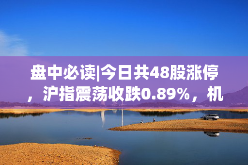 盘中必读|今日共48股涨停，沪指震荡收跌0.89%，机器人概念持续活跃