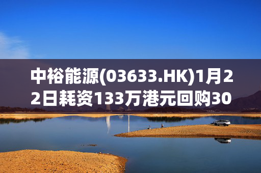 中裕能源(03633.HK)1月22日耗资133万港元回购30万股