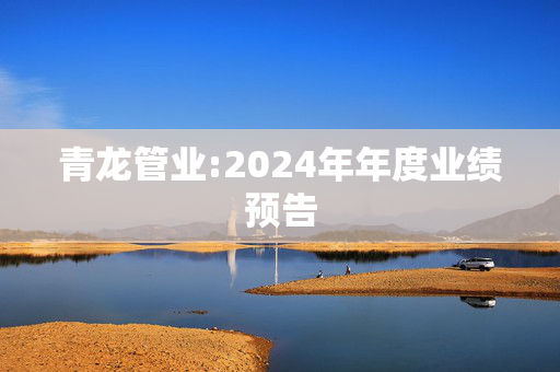 青龙管业:2024年年度业绩预告