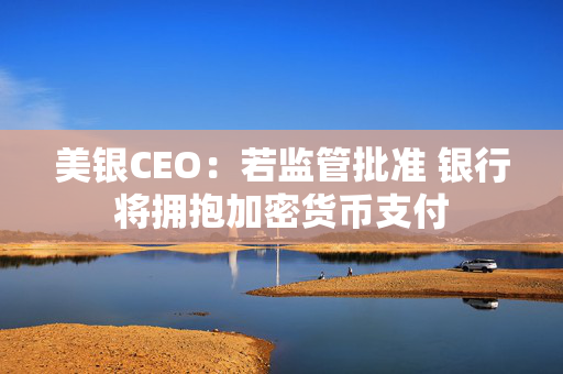 美银CEO：若监管批准 银行将拥抱加密货币支付