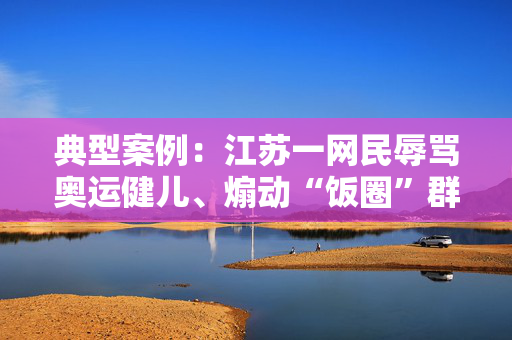 典型案例：江苏一网民辱骂奥运健儿、煽动“饭圈”群体，已被行拘