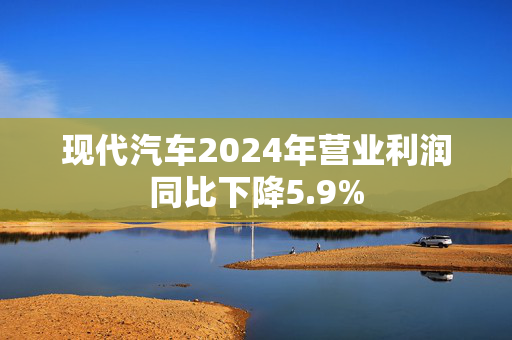 现代汽车2024年营业利润同比下降5.9%