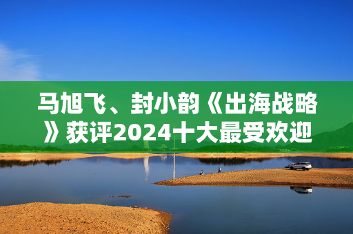 马旭飞、封小韵《出海战略》获评2024十大最受欢迎金融图书