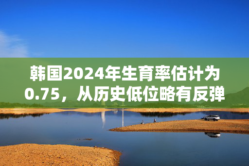 韩国2024年生育率估计为0.75，从历史低位略有反弹