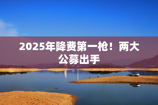 2025年降费第一枪！两大公募出手