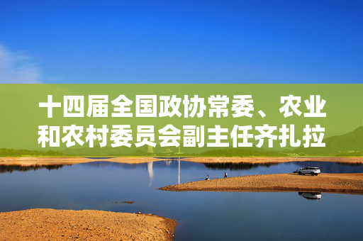 十四届全国政协常委、农业和农村委员会副主任齐扎拉接受审查调查