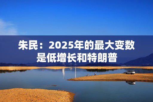 朱民：2025年的最大变数是低增长和特朗普