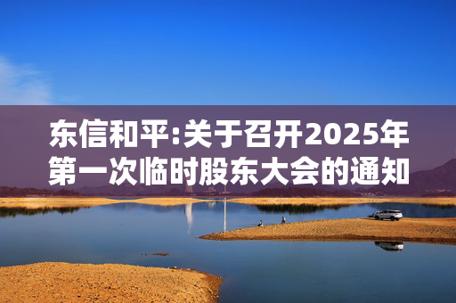 东信和平:关于召开2025年第一次临时股东大会的通知