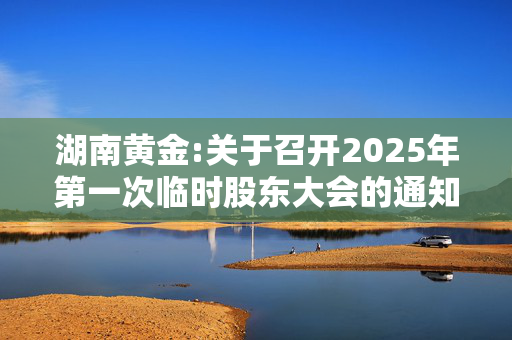 湖南黄金:关于召开2025年第一次临时股东大会的通知