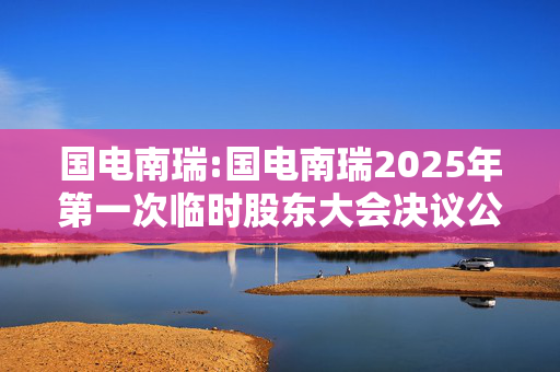 国电南瑞:国电南瑞2025年第一次临时股东大会决议公告