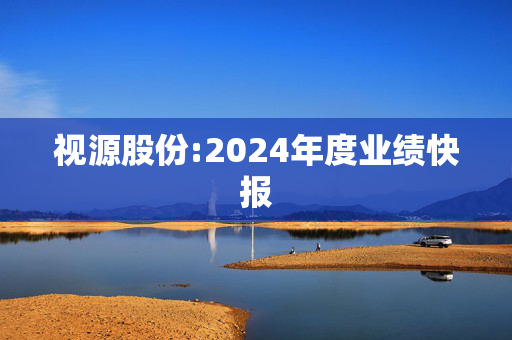 视源股份:2024年度业绩快报