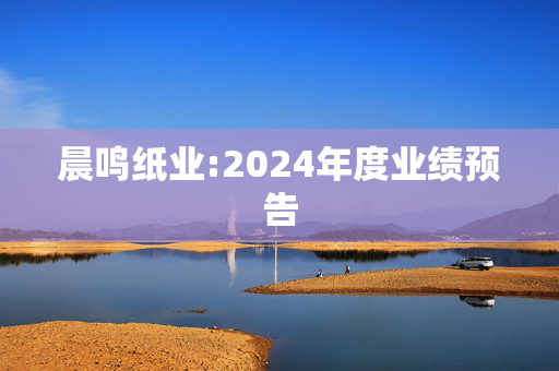 晨鸣纸业:2024年度业绩预告