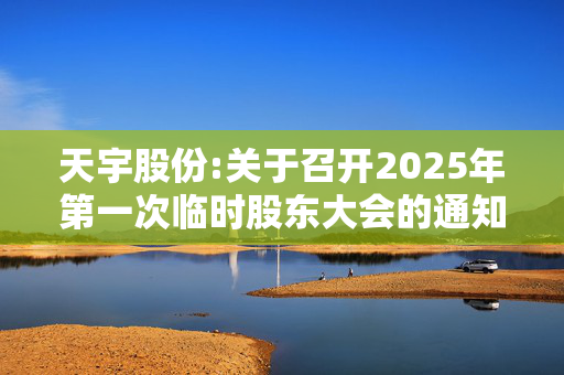 天宇股份:关于召开2025年第一次临时股东大会的通知