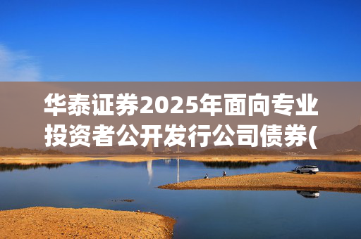 华泰证券2025年面向专业投资者公开发行公司债券(第一期)品种一的票面利率为1.85%