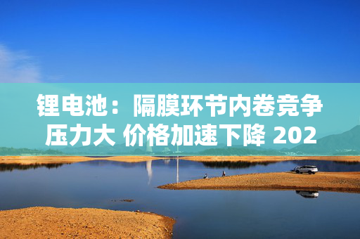 锂电池：隔膜环节内卷竞争压力大 价格加速下降 2024Q4下游需求超预期但价格未有利提升