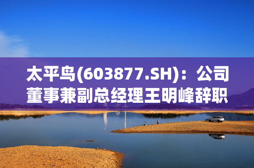 太平鸟(603877.SH)：公司董事兼副总经理王明峰辞职，不在公司担任任何职务