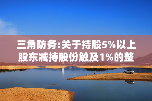 三角防务:关于持股5%以上股东减持股份触及1%的整数倍的公告