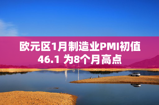 欧元区1月制造业PMI初值46.1 为8个月高点