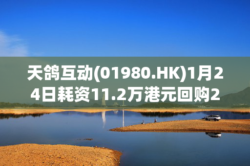 天鸽互动(01980.HK)1月24日耗资11.2万港元回购20万股