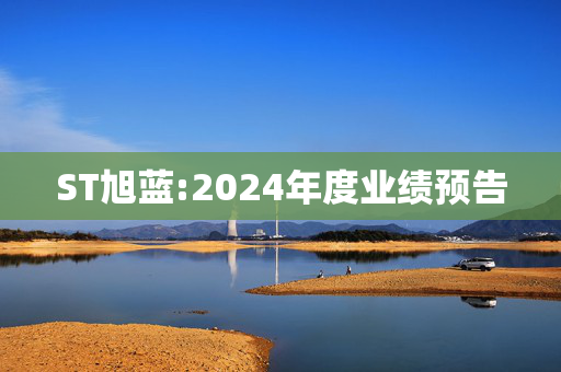 ST旭蓝:2024年度业绩预告