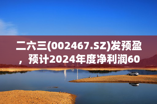 二六三(002467.SZ)发预盈，预计2024年度净利润6000万元-9000万元 同比扭亏为盈