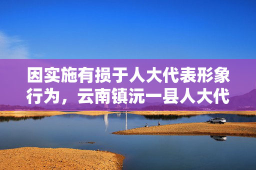 因实施有损于人大代表形象行为，云南镇沅一县人大代表辞职