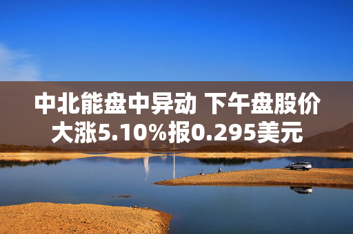 中北能盘中异动 下午盘股价大涨5.10%报0.295美元