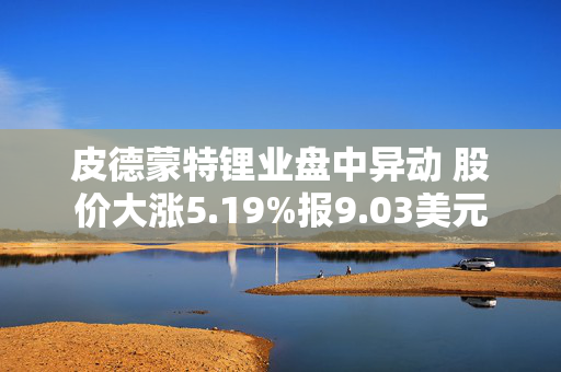 皮德蒙特锂业盘中异动 股价大涨5.19%报9.03美元