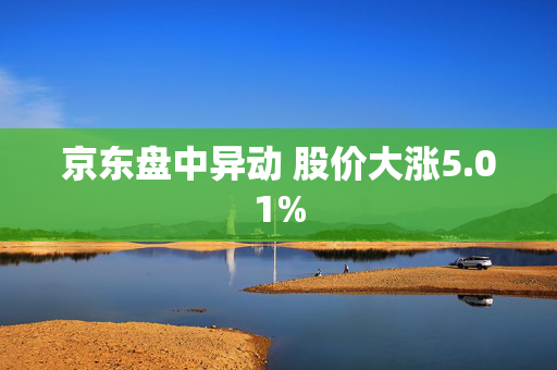 京东盘中异动 股价大涨5.01%