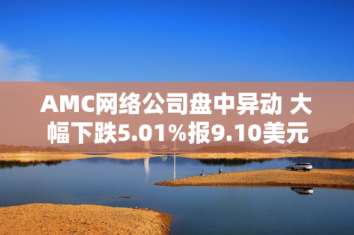 AMC网络公司盘中异动 大幅下跌5.01%报9.10美元