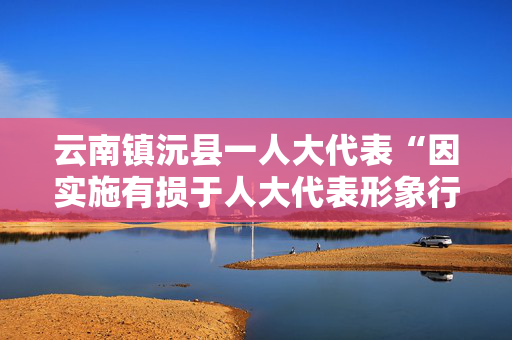 云南镇沅县一人大代表“因实施有损于人大代表形象行为”辞职，多方回应