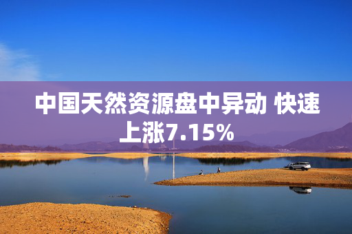 中国天然资源盘中异动 快速上涨7.15%