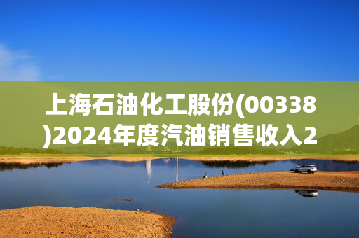 上海石油化工股份(00338)2024年度汽油销售收入293.86亿元