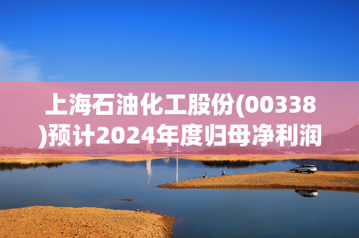 上海石油化工股份(00338)预计2024年度归母净利润约2.53亿到3.79亿元，将实现扭亏为盈