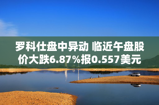 罗科仕盘中异动 临近午盘股价大跌6.87%报0.557美元