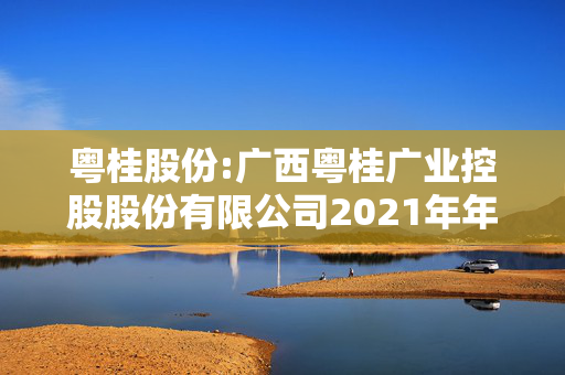 粤桂股份:广西粤桂广业控股股份有限公司2021年年度报告（更正后）