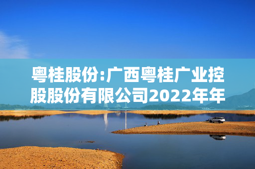 粤桂股份:广西粤桂广业控股股份有限公司2022年年度报告（更正后）