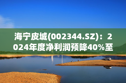 海宁皮城(002344.SZ)：2024年度净利润预降40%至60%