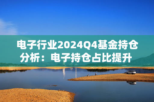 电子行业2024Q4基金持仓分析：电子持仓占比提升 AI和自主可控主线演绎