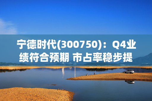 宁德时代(300750)：Q4业绩符合预期 市占率稳步提升