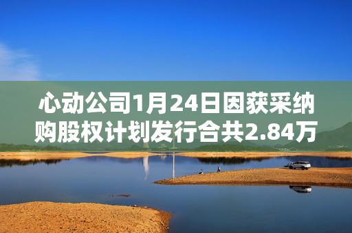 心动公司1月24日因获采纳购股权计划发行合共2.84万股