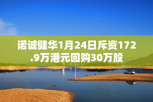 诺诚健华1月24日斥资172.9万港元回购30万股