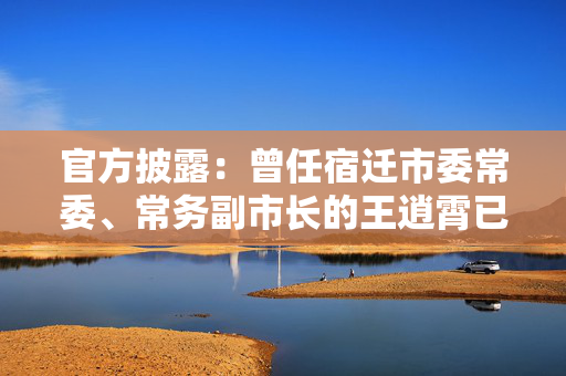 官方披露：曾任宿迁市委常委、常务副市长的王逍霄已被开除党籍