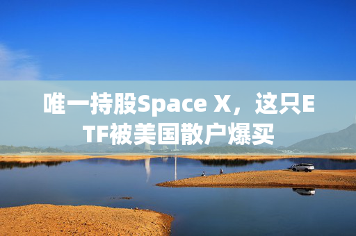 唯一持股Space X，这只ETF被美国散户爆买