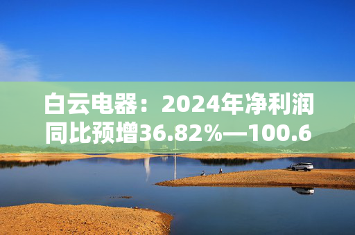 白云电器：2024年净利润同比预增36.82%―100.66%