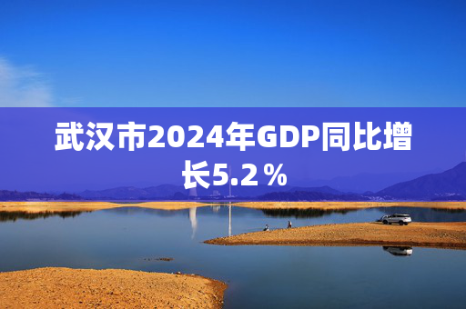 武汉市2024年GDP同比增长5.2％