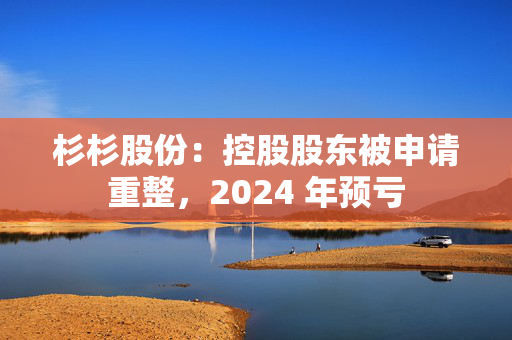 杉杉股份：控股股东被申请重整，2024 年预亏