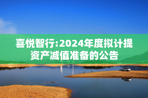 喜悦智行:2024年度拟计提资产减值准备的公告