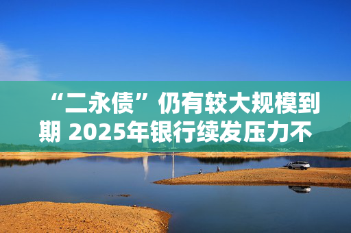 “二永债”仍有较大规模到期 2025年银行续发压力不减